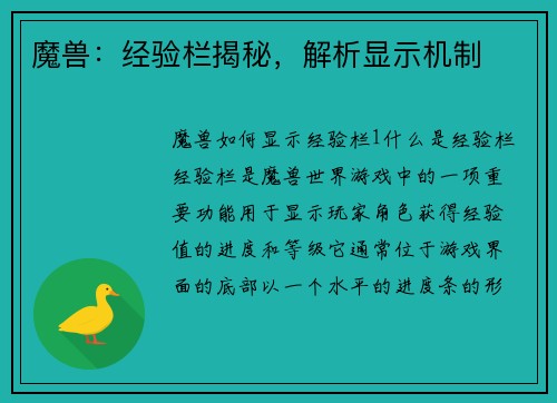 魔兽：经验栏揭秘，解析显示机制