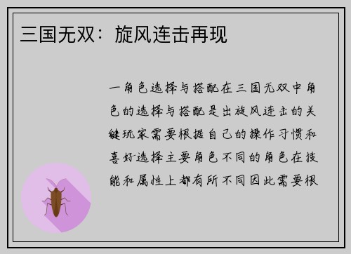 三国无双：旋风连击再现